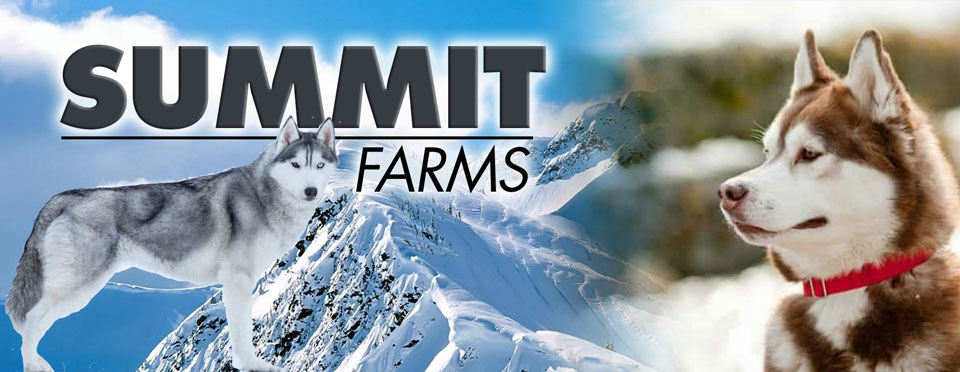 Summit Farms Rescue Banner - Snowy Alaskan landscape with sled dogs